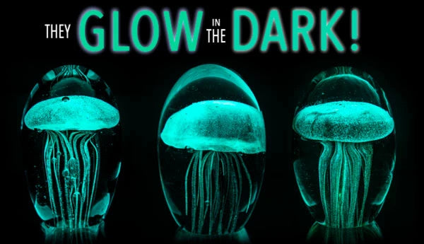 Glow in the dark jellyfish