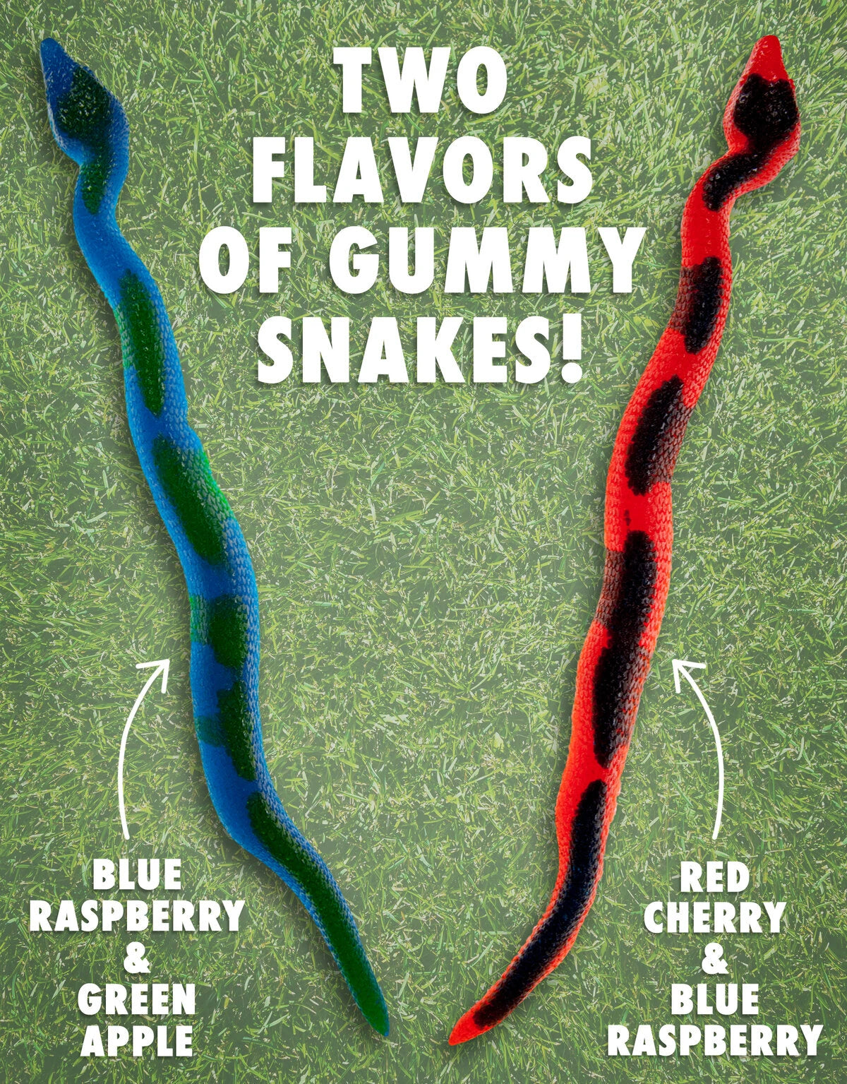 Giant Gummy Snakes are available in a variety of delicious flavor combinations.