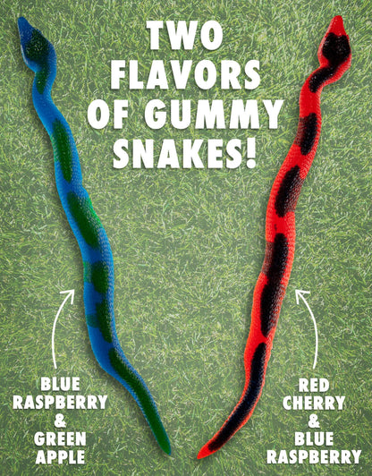 Giant Gummy Snakes are available in a variety of delicious flavor combinations.