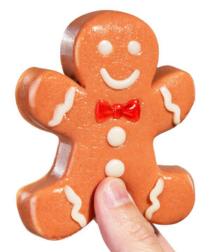 Gummy Gingerbread Man beauty shot