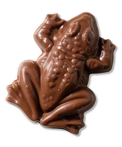 Harry Potter Chocolate Frog