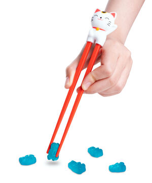 Lucky Cat Chopsticks beauty shot