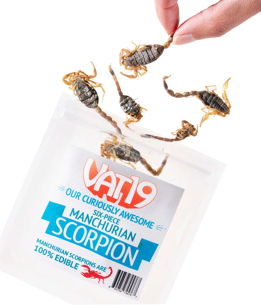 Manchurian Scorpions beauty shot