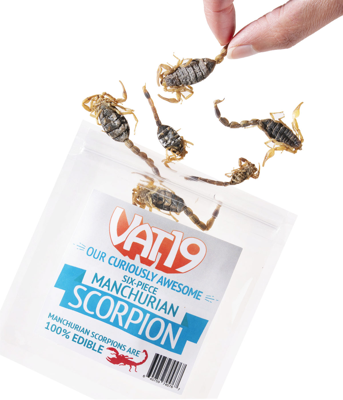 Manchurian Scorpions beauty shot