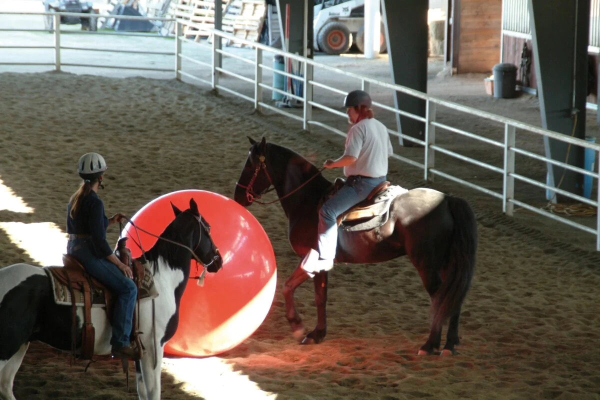If it can handle a literal horse-kick, it can handle your backyard.