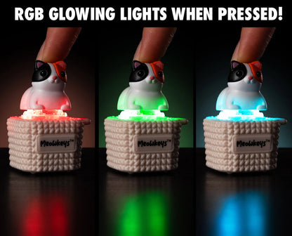 Hold down Meowkey and it will cycle through an array of colors, increasing speed the longer you hold it down.