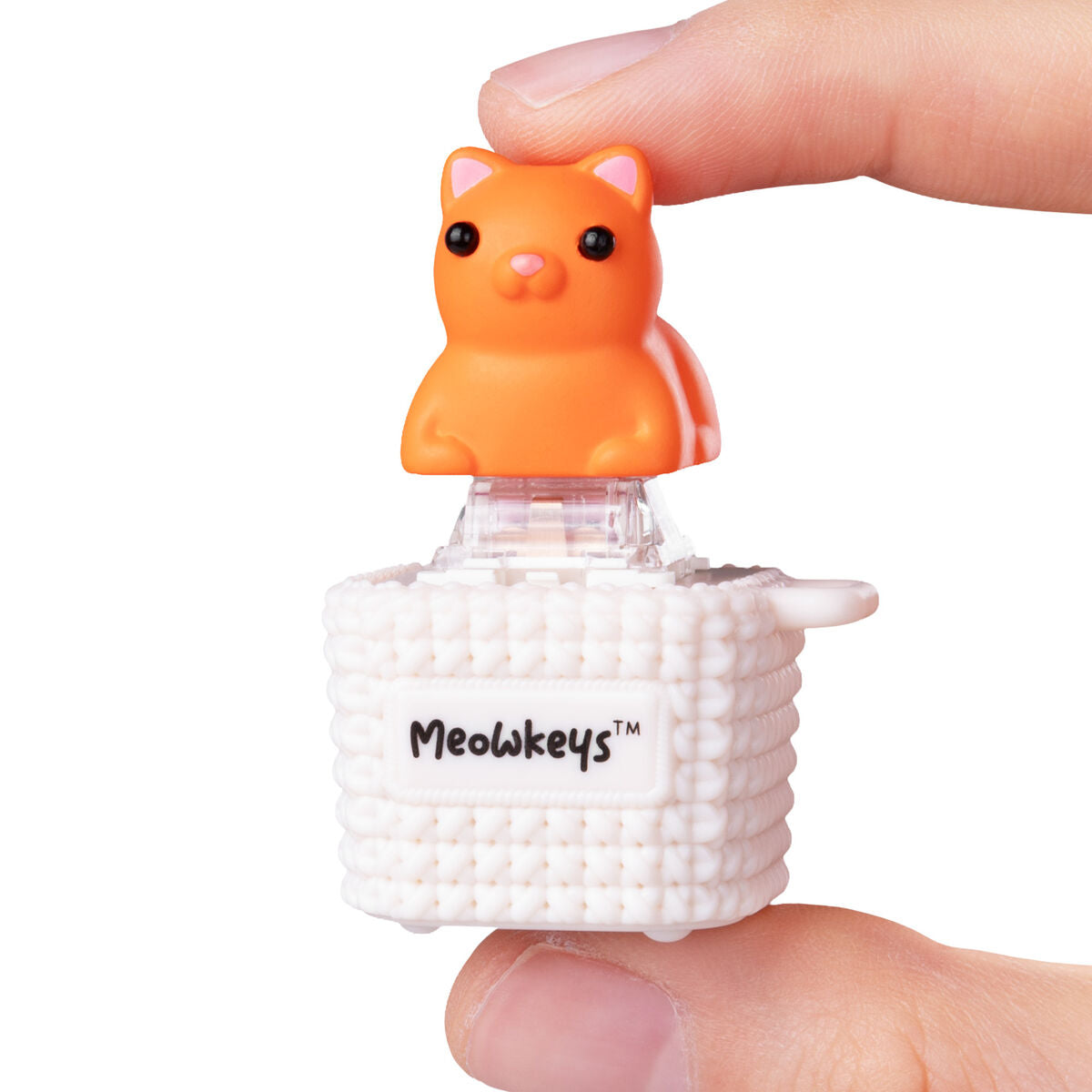 MeowKey-Orange beauty shot