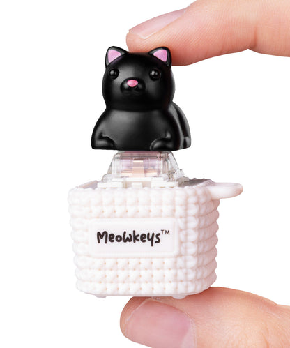 MeowKey-Black beauty shot