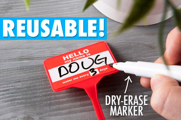 Erasable and reusable!