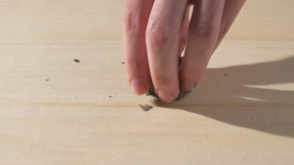 Easy cleanup! Non-toxic and will not stain.