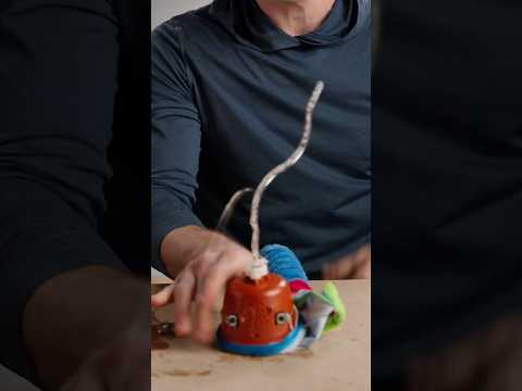 Break This Dancing Gummy Worm For $$$$