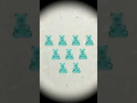 Video for Mini Gummy Grizzly Thinking Putty