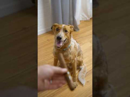 Video for Doggie Cigars (6-Pack)