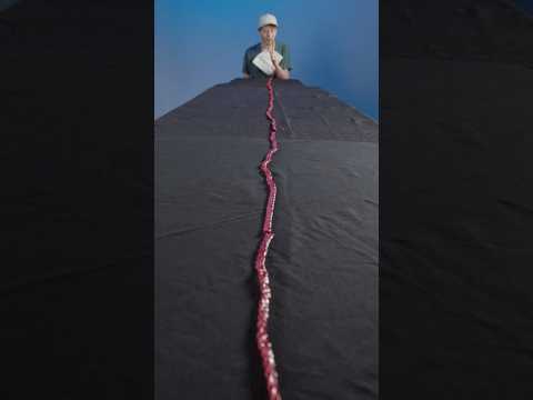 The World's Longest Twizzler