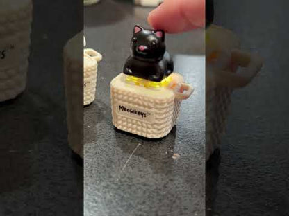 Short demo of the Meowkey in action!