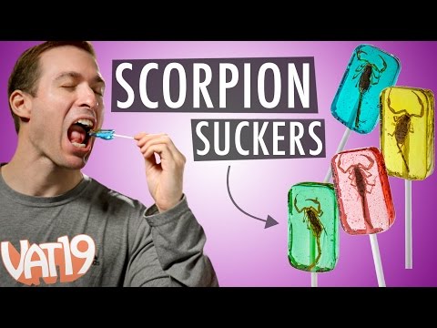 Video for Scorpion Suckers
