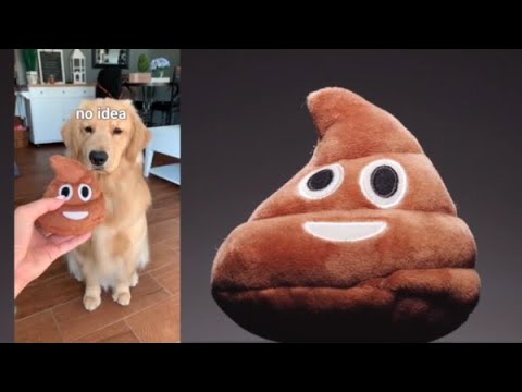 Toss the turd!