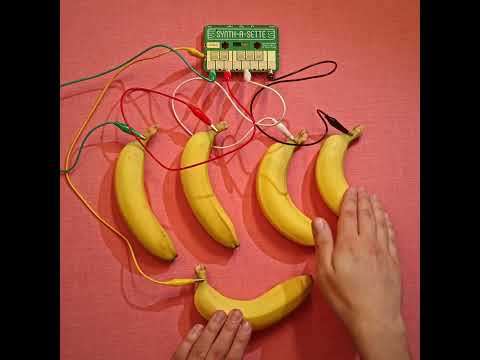 Make A Banana Keyboard with the Synth-a-Sette