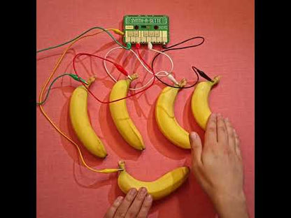 Make A Banana Keyboard with the Synth-a-Sette