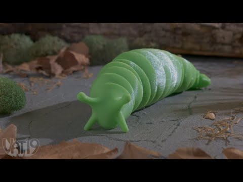 Video for Squirmy Slugs