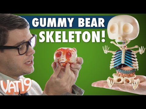 Video for Gummy Bear Anatomy Model