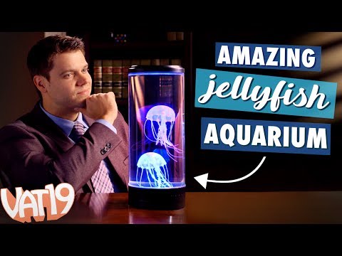 Video for Large Jellyfish Lamp