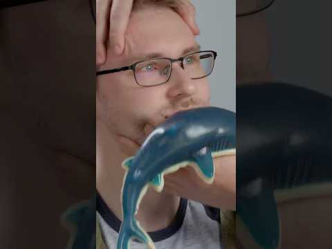 Video for Giant Gummy Shark