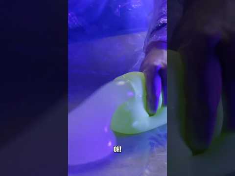 Break All Five Stress Balls For $$$$