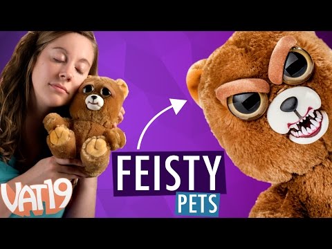 Video for Feisty Pets