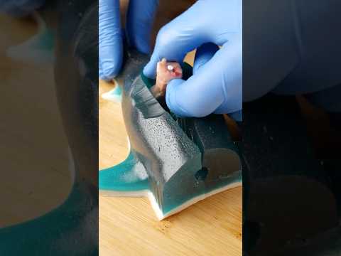 Cutting Open A Gummy Shark