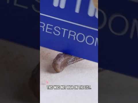 Break This Fake Poo For Money