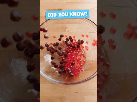 Video for Popping Boba in a Can