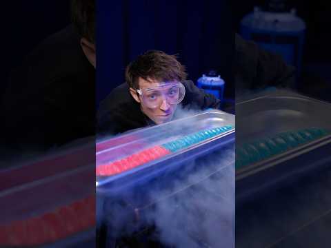 Testing The World's Weirdest Bats