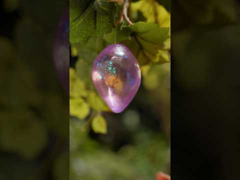 Video for Nee Doh Dream Drop