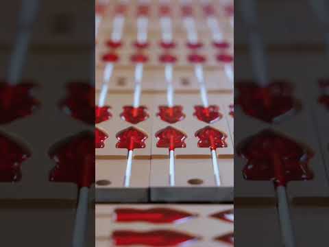 Making the World's Spiciest Candy 