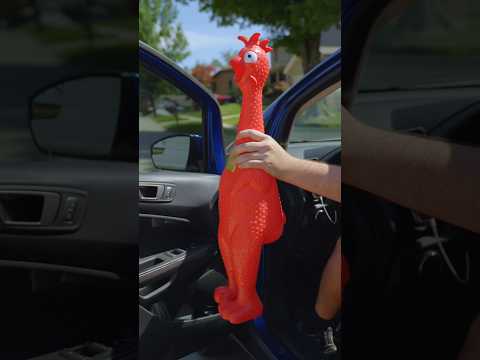 Meet Your Nosy Neighbor