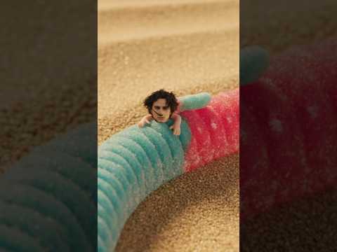 What Does TIMOTHEE CHALAMET Taste Like?!