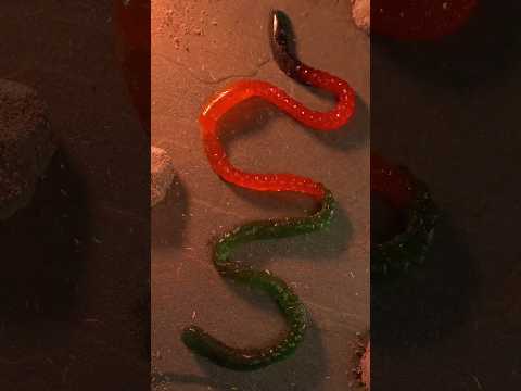 Goodness Gracious! Great Worms of Fire!!