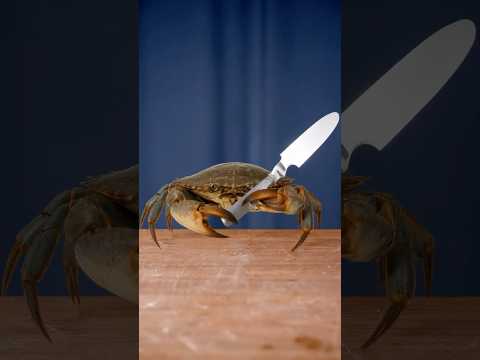 You're Sentenced To MASSAGE His Feet!