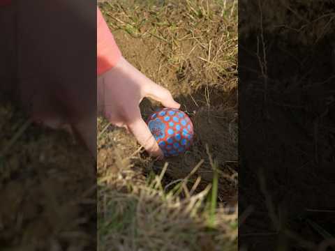Finding An Alien Toy
