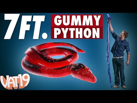 Video for 26-Pound Gummy Python