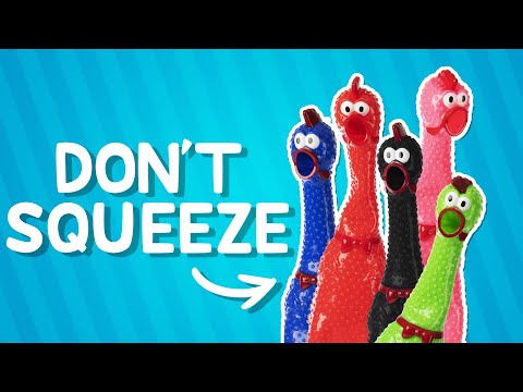 Video for Giant Rubber Chicken