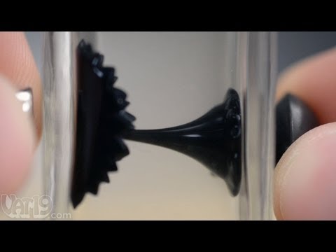 Video for Ferrofluid in a Bottle