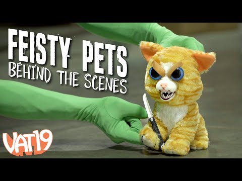 Behind the Scenes of the Feisty Pets Deathmatch!