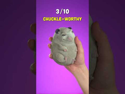 Video for Splat Possum
