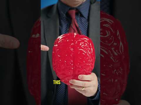 Break This Gummy Brain For $$$$