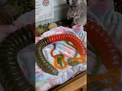 Would You Have a Giant Pet Gummy Worm?