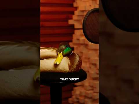 Are You Recording That Duck!?