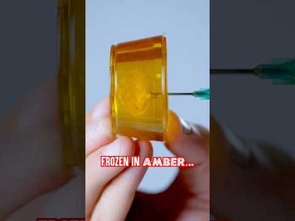 Prehistoric Candy Discovered?!