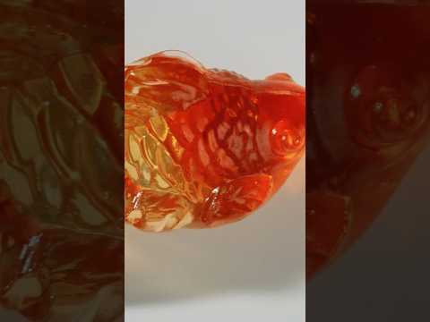 Video for 4D Gummy Goldfish